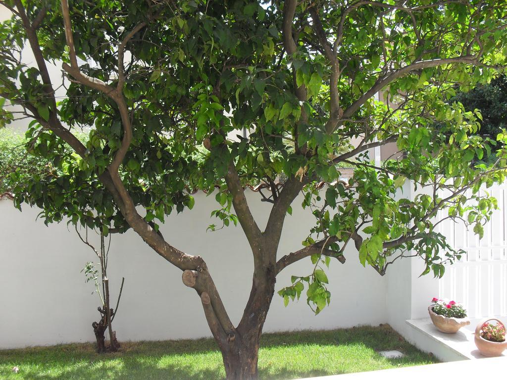 Casa Santolina B&B Rome Extérieur photo